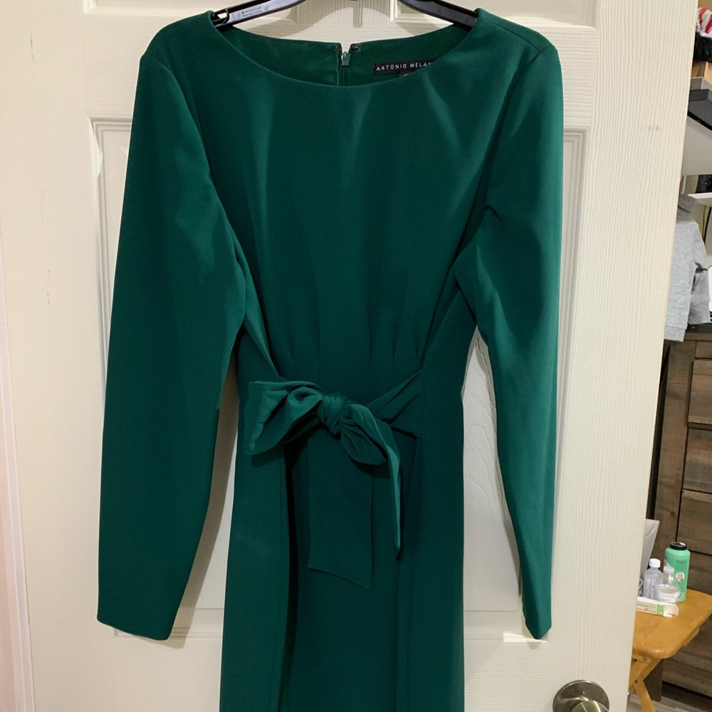 Antonio Melani Emerald Green Long Sleeve Dress